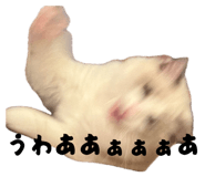 842522285