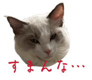 842522287