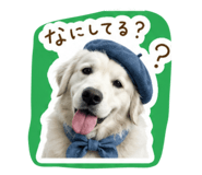 842522443