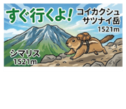 842523066
