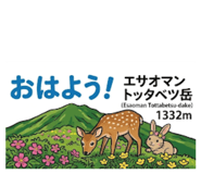 842523068