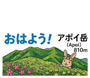 842523070