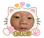 842523155