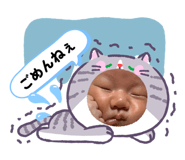 842523164