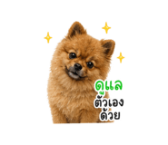 842523940