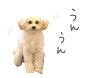842524089
