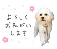 842524092