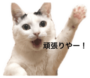 842524440