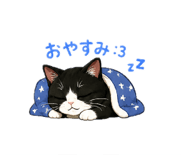842524646