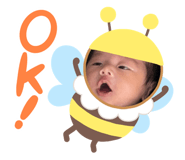 842524693