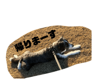 842525078