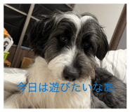 842525079