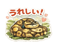 842525107