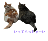 842525140