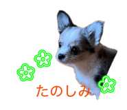 842525142