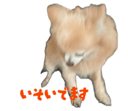 842525707