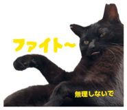 842525719