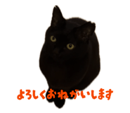 842525729