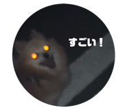 842525737