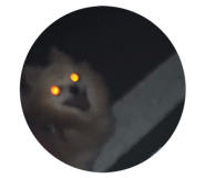 842525743