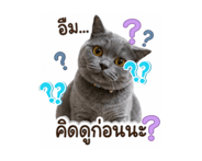 842525982