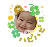 842525997