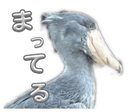 842526298