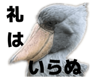 842526307