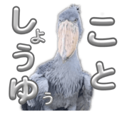 842526310
