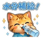 842526636