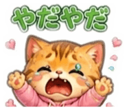 842526637