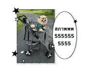 842526760