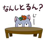 842527331