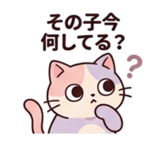842527621