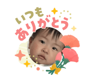842527802