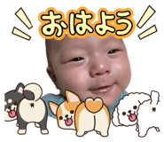 842528134