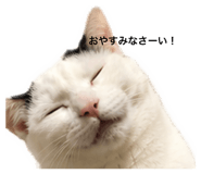 842528282