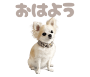 842528337