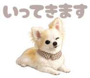 842528344