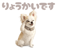 842528350