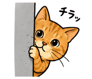 842528354
