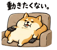842528358