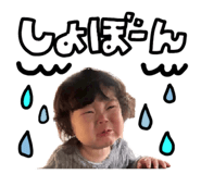 842528466
