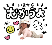 842528467