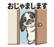842528493