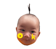 842528529