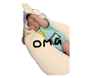 842528538