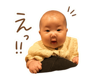 842528561