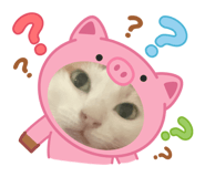 842528596
