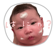 842528690